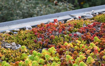 the cost of Lynmouth green roof installation