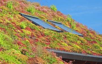 Lynmouth living roof systems